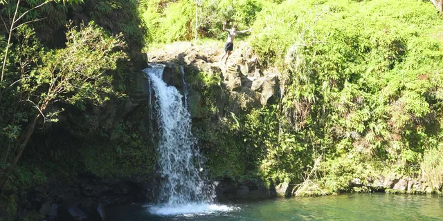 Maui Road to Hana Rainforest and Waterfall Tour - Image 4