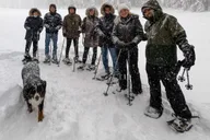 Tahoe City Snowshoe Tour on Private Trails thumbnail 5