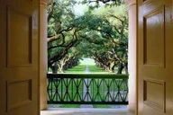 New Orleans Oak Alley Plantation Tour thumbnail 1