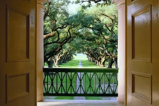 New Orleans Oak Alley Plantation Tour