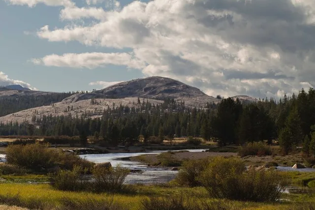 Yosemite High Country Adaptive Tour - Image 6