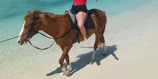 Grand Turk Horseback Riding Experience