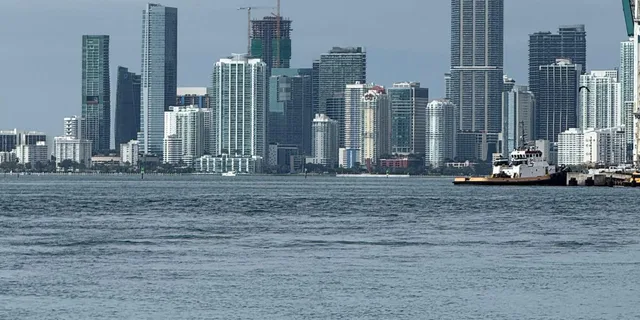 Miami City Tour 4 hr Private - Image 3