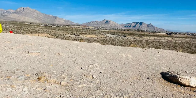 Las Vegas Red Rock Canyon Tesla Self-Guided Tour - Image 6