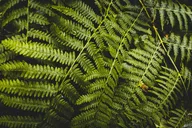 Seattle Hike to Twin Falls with Transportation thumbnail 6