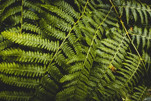 Seattle Hike to Twin Falls with Transportation - Image 6