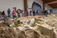 Custer State Park Jeep Safari & Mammoth Site Tour thumbnail 1