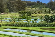 Big Island ATV Ranch Ride thumbnail 5