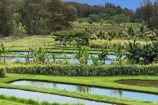Big Island ATV Ranch Ride - Image 5