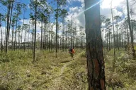 Florida Backcountry Camping Adventure thumbnail 3