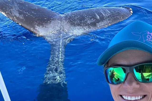 Lahaina Whale Watching Tour 2 hr - Image 1