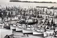 Key West Walking Tour thumbnail 1