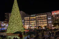 San Francisco Holiday Lights Tuk Tuk Tour thumbnail 1