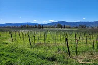 Sonoma and Napa Champagne Wine Tour Half Day thumbnail 2