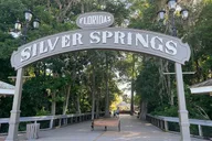 Orlando Silver Springs Kayak and Glass Boat Tour thumbnail 6