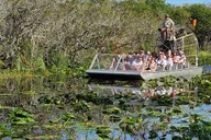 Miami Everglades Boat Tour with Transport thumbnail 1