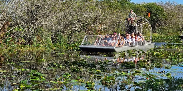Miami Everglades Boat Tour with Transport - Image 1