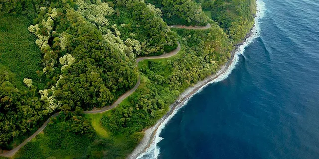 Maui Road to Hana Sightseeing Tour with Lunch - Image 2