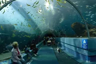 Atlanta Walking Tour thumbnail 1