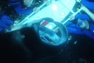 Kona Manta Ray Night Snorkel Small Group 2 hr thumbnail 3