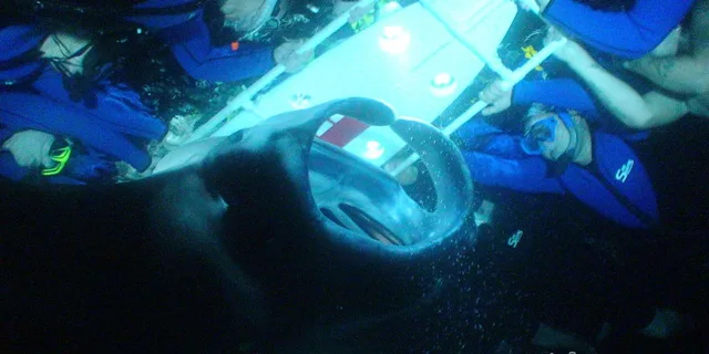 Kona Manta Ray Night Snorkel Small Group 2 hr - Image 3