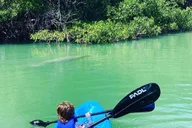 Miami Paddle Board or Kayak Rental in Virginia Key thumbnail 6