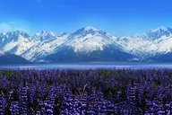 Anchorage Wildlife Conservation Center Tour 1 hr thumbnail 2