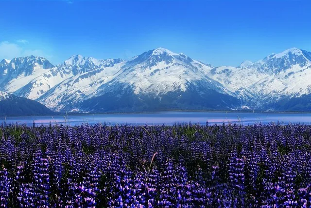Anchorage Wildlife Conservation Center Tour 1 hr - Image 2