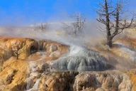 Yellowstone National Park Tour from Big Sky thumbnail 4