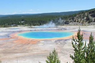 Los Angeles to Las Vegas Yellowstone National Park Tour 7 Days