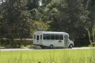 Charleston Magnolia Plantation Tour with Transport thumbnail 4
