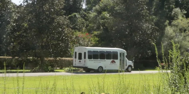 Charleston Magnolia Plantation Tour with Transport - Image 4