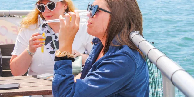 Plymouth Party Cruise with Drinks and Music 2 hr - Image 1