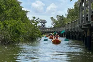 Robinson Preserve Mangrove Kayak Tour thumbnail 6