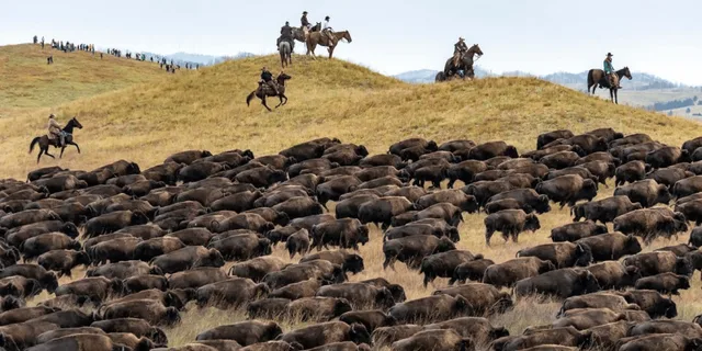 Rapid City Custer State Park Buffalo Roundup Tour - Image 3