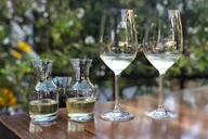 Los Angeles Ojai Vineyard Tour thumbnail 5