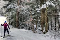 Gardiner Yellowstone Cross-Country Ski Tour thumbnail 1