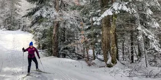 Gardiner Yellowstone Cross-Country Ski Tour