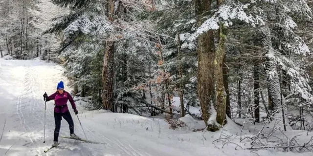 Gardiner Yellowstone Cross-Country Ski Tour - Image 1