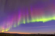 Fairbanks Northern Lights Dog Sled Tour with Dinner thumbnail 1