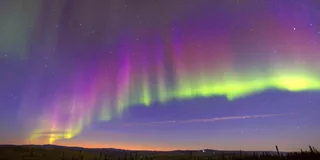 Fairbanks Northern Lights Dog Sled Tour with Dinner