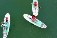 Miami Paddle Board or Kayak Rental in Virginia Key thumbnail 4