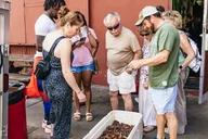 New Orleans Garden District Food & History Tour thumbnail 5