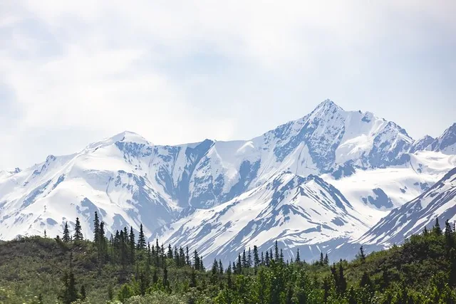 Fairbanks Scenic Van Tour - Image 3
