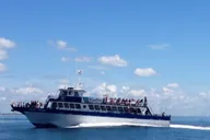 Myrtle Beach Dolphin & Sealife Cruise thumbnail 4