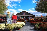 New York Farm Adventure Tour thumbnail 4