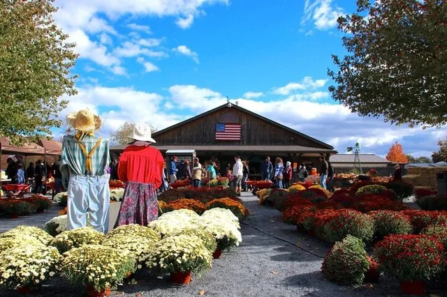 New York Farm Adventure Tour - Image 4
