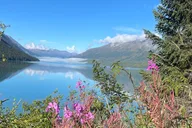 Anchorage to Seward Transport Tour thumbnail 2