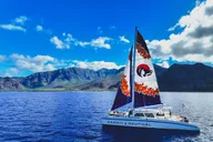 Waianae Dolphin Watch and Snorkel Sail with Lunch thumbnail 2