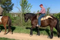 Gettysburg Battlefield Horseback Tour thumbnail 6